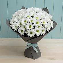 Букет цветов из:  Хризантемы #REPLACE_PRED# Поназырево