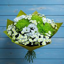 Букет цветов из:  Хризантемы #REPLACE_PRED# Поназырево