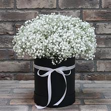 Цветочная композиция из Гипсофила в шляпной коробке в Поназырево