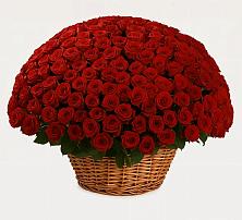 Премиум букет из: Розы в Поназырево